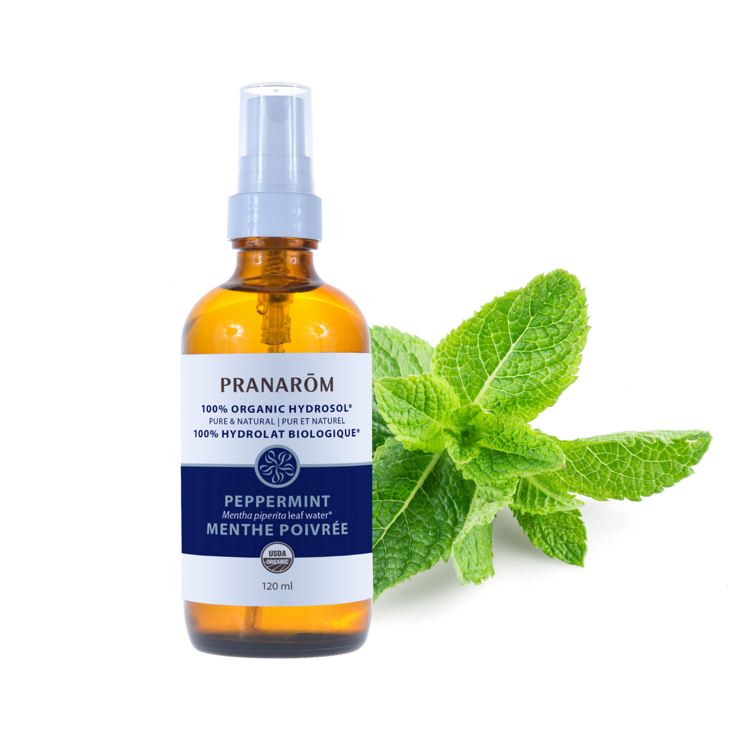 Peppermint Hydrosol (120ml)