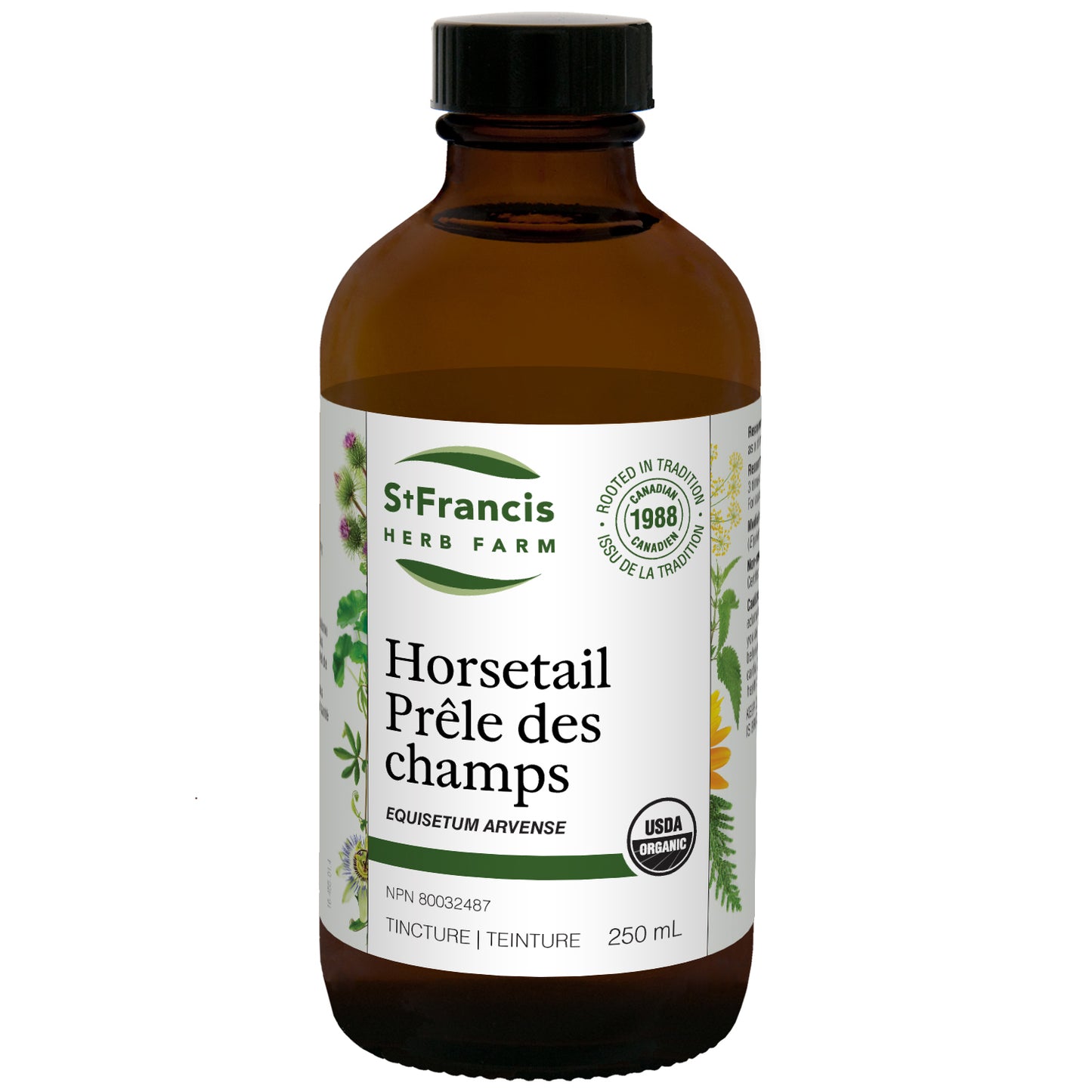 Horsetail (250ml)