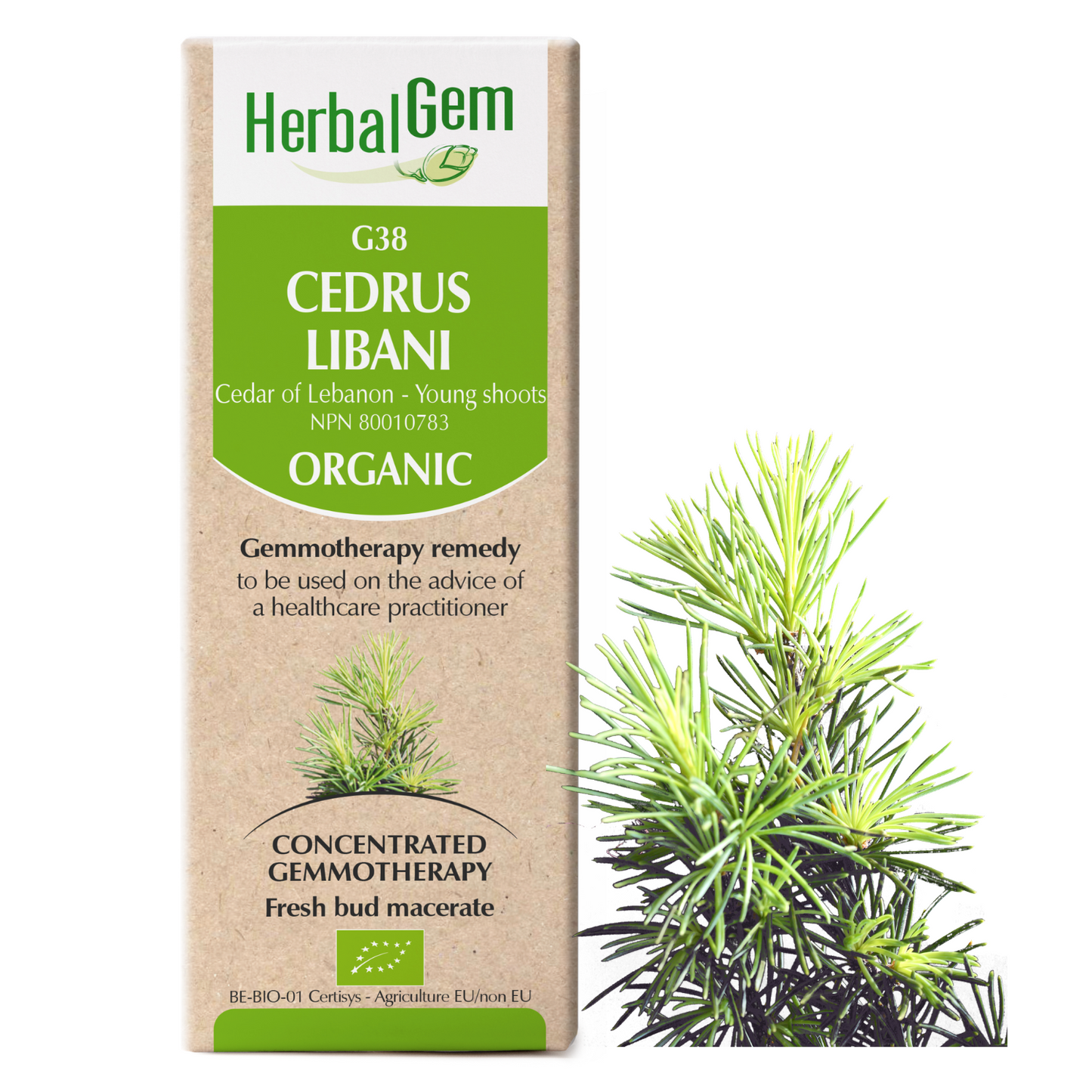 Cedarwood (15ml)