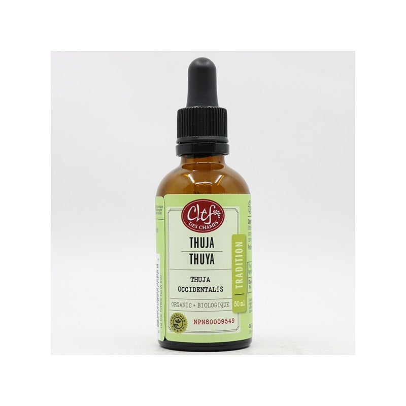 Thuja T. (50ml)
