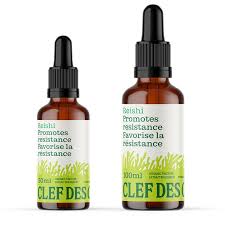 Reishi T. 100ml (100ml)