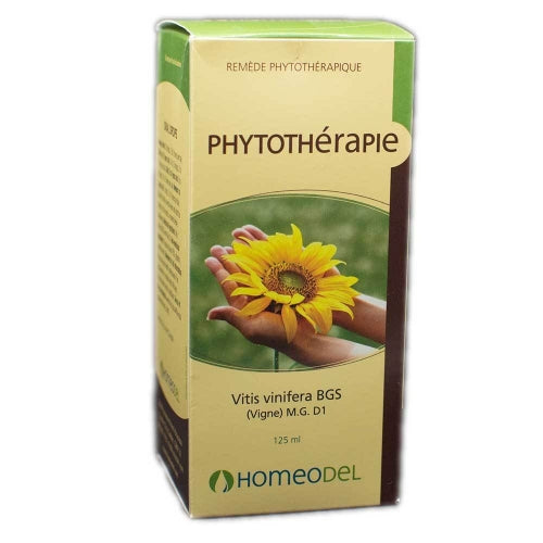 Gemmotherapy Vitis Vinifera (120ml)