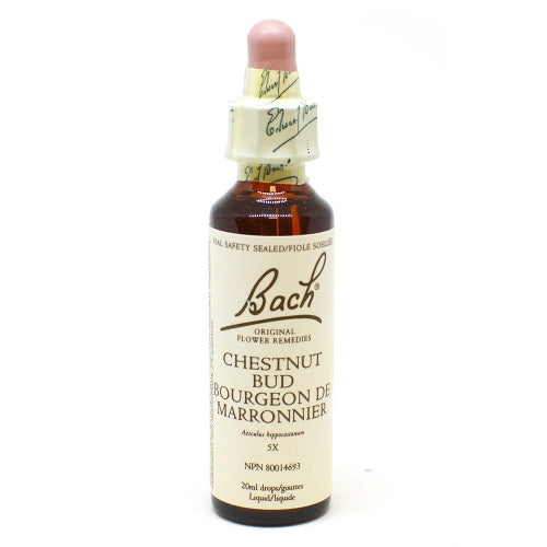 Bach Flower - Chestnut Bud (20ml)