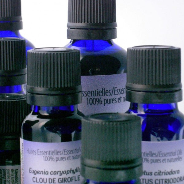 Ylang Ylang Essential Oil (15ml)