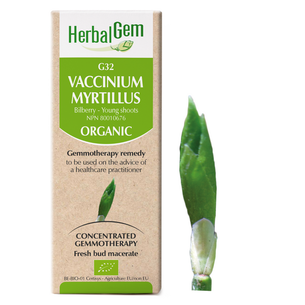 Vaccinium Myrtillus (15ml)