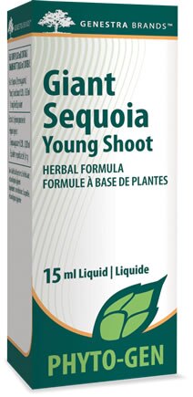 Giant Sequoia Young Shoot (15 Ml)