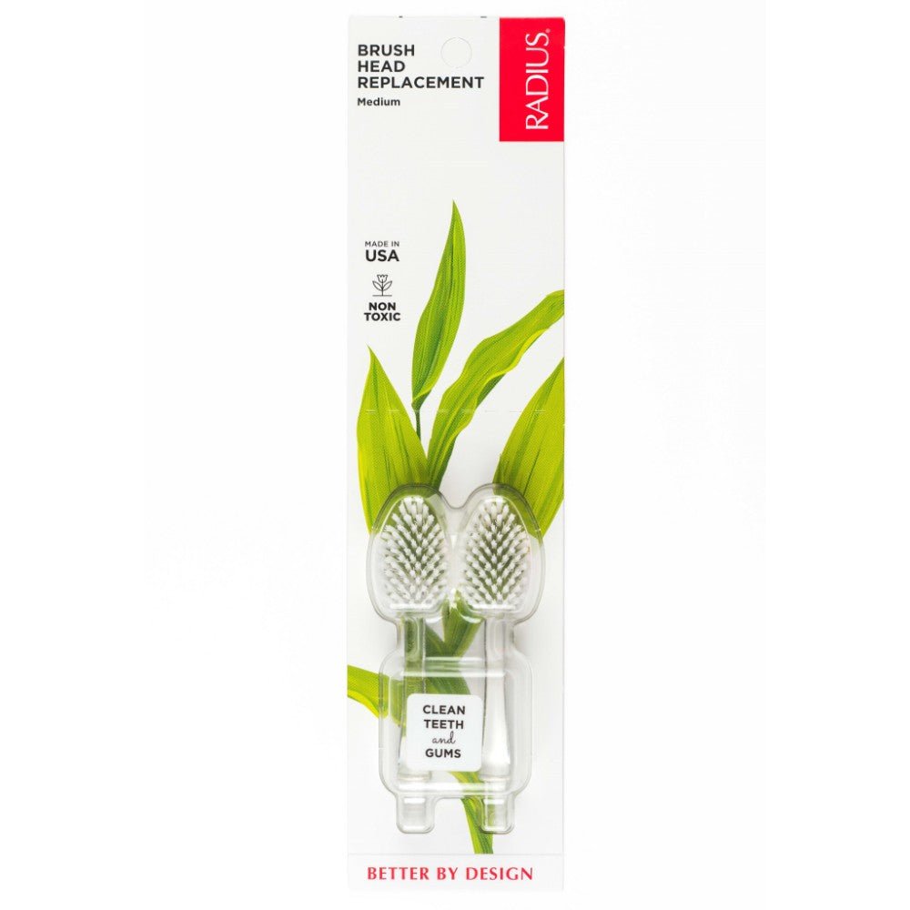 Toothbrush with Replaceable Head, Medium