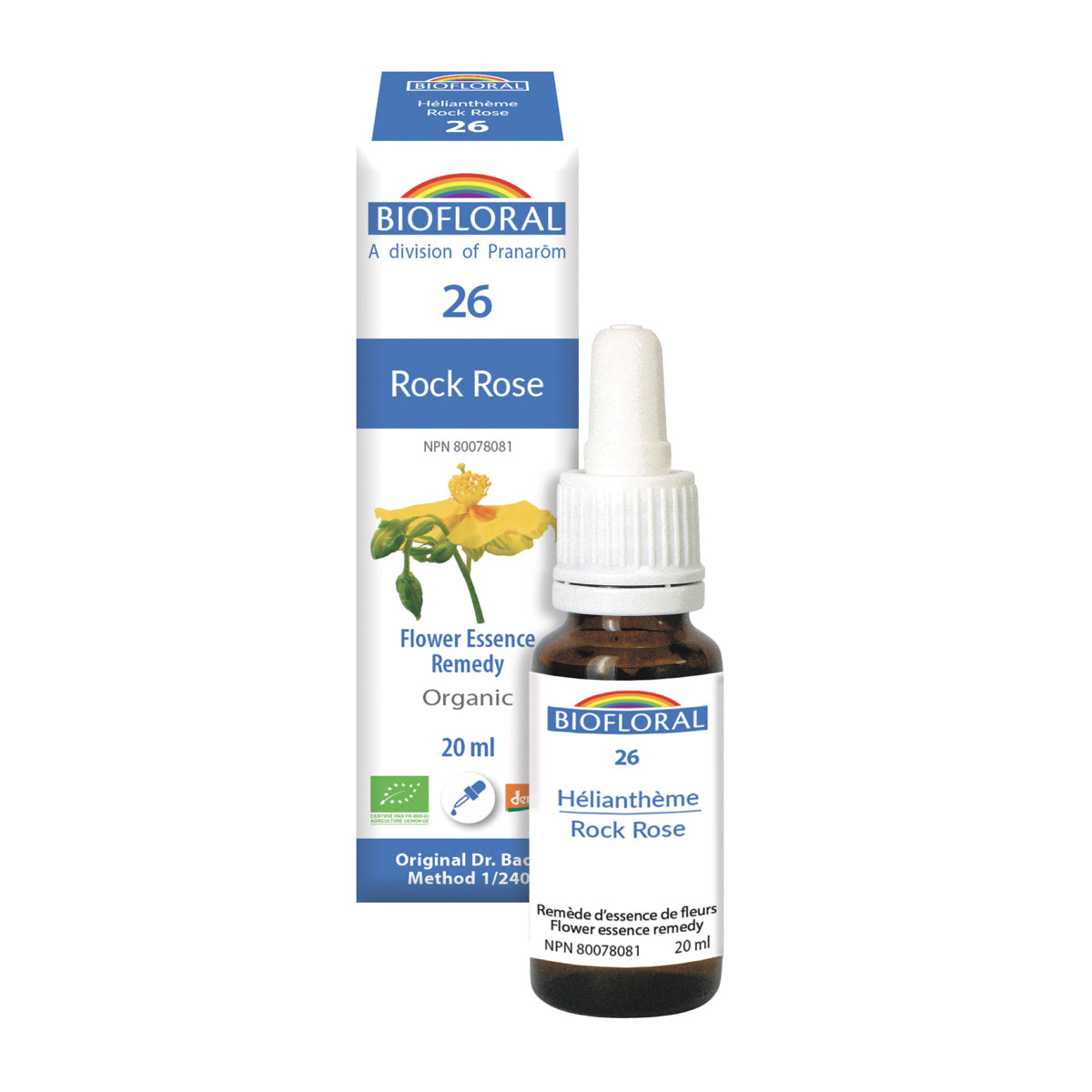 Helianthemum (20ml)