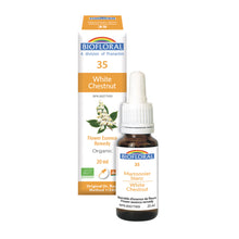 White Chestnut (20ml)