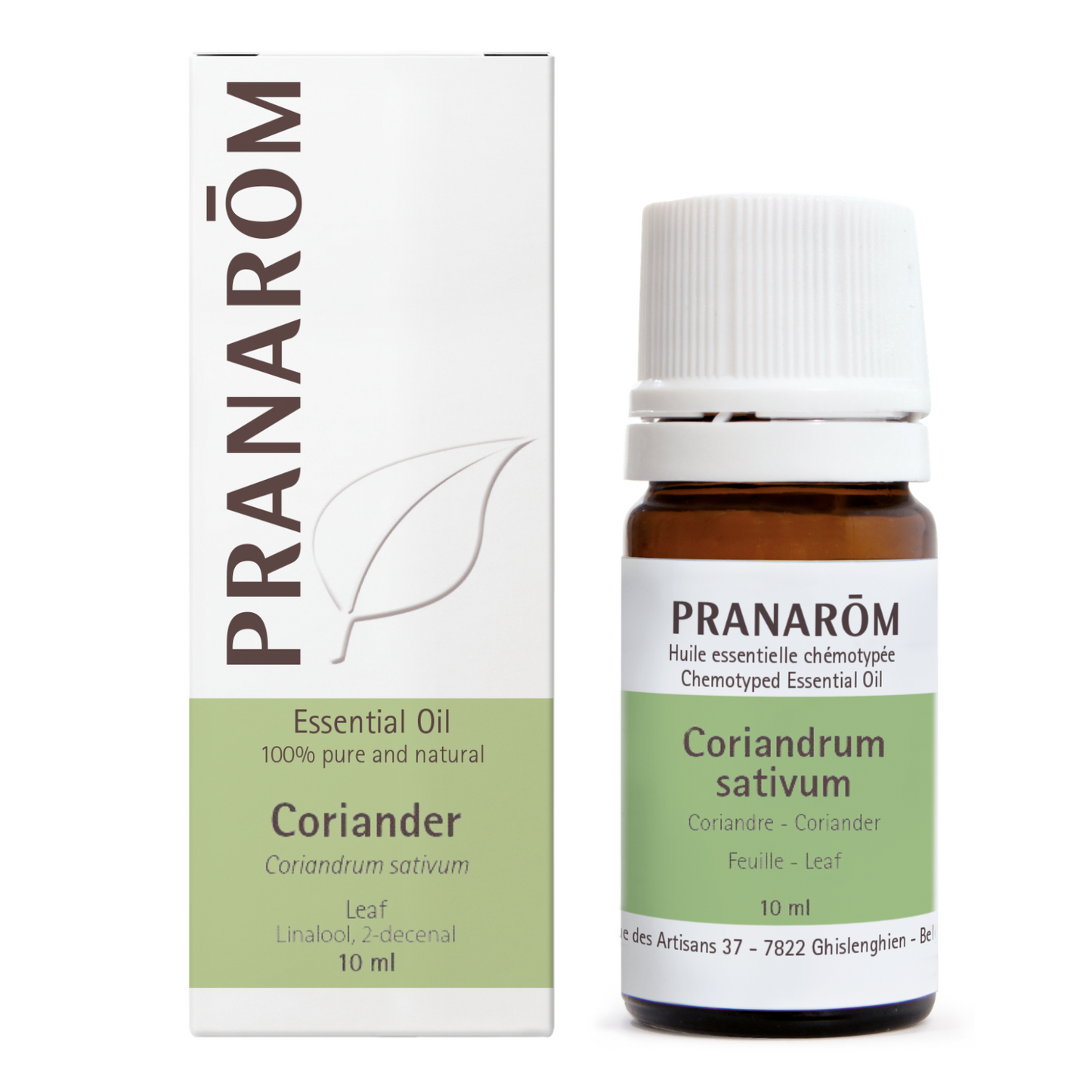 Coriander Leaf (10ml)
