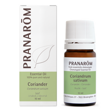 Coriander Leaf (10ml)