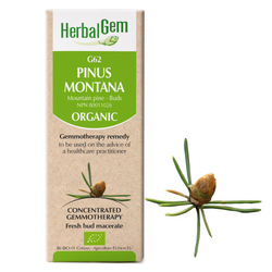 Pinus Montana (50ml)