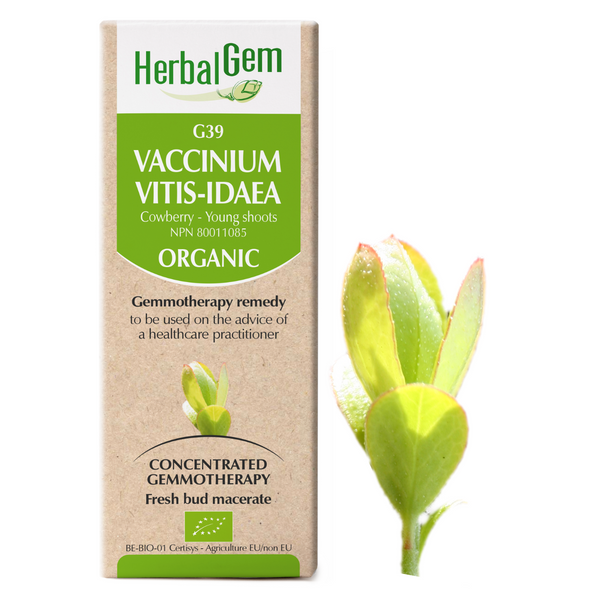 Vaccinium Vitis-idaea (15ml)