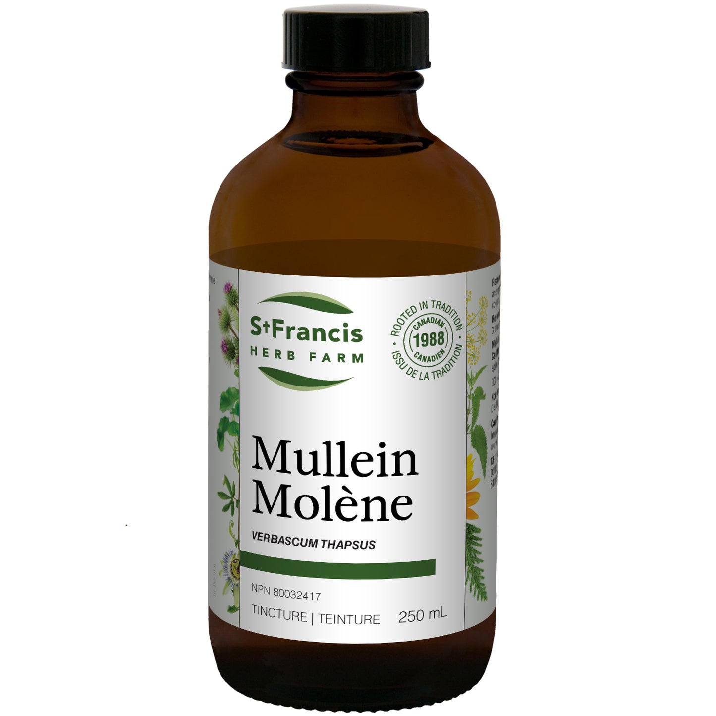Mullein (250ml)