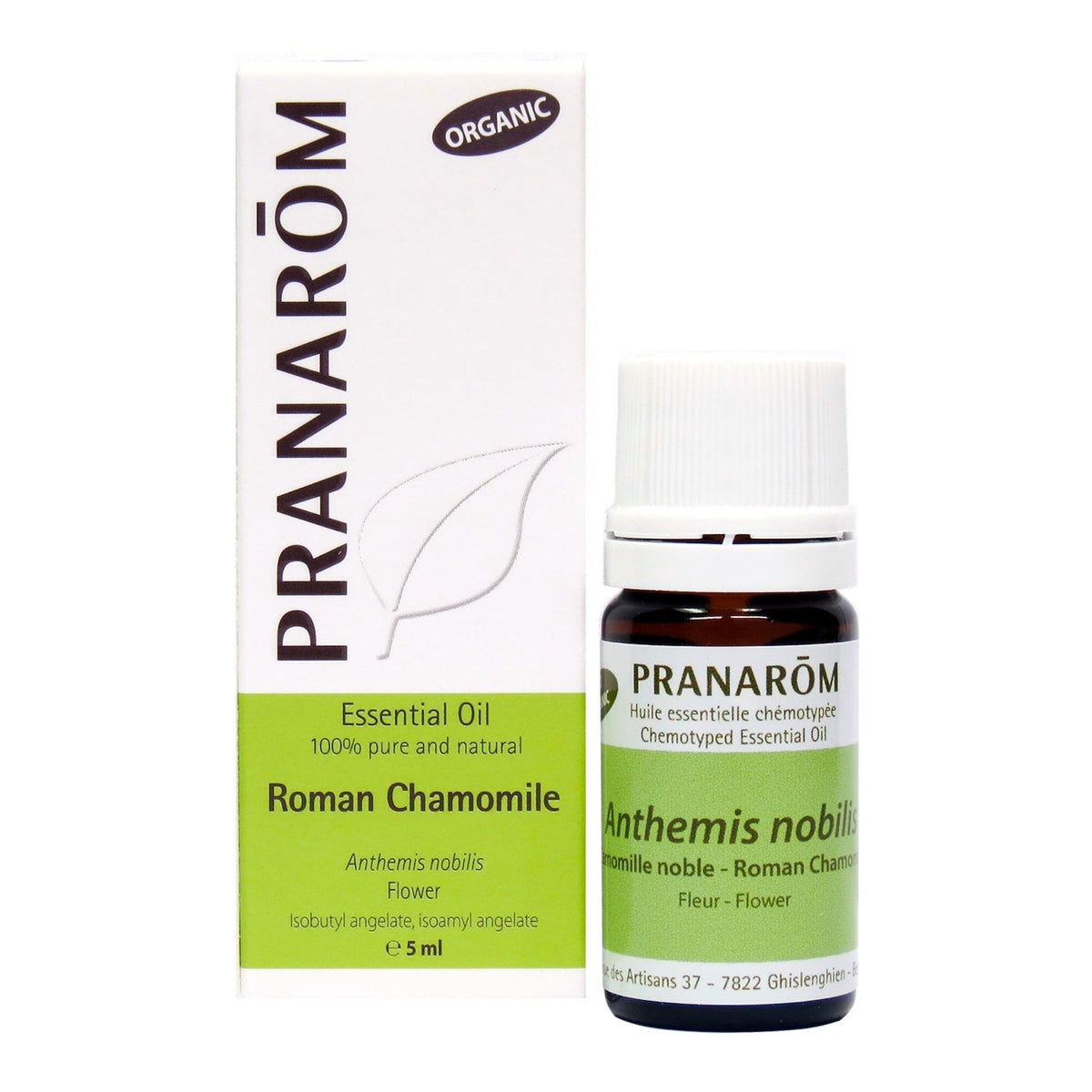 Roman Chamomile (5ml)