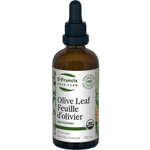 Olive Leaf (100ml)
