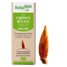 Hornbeam (50ml)