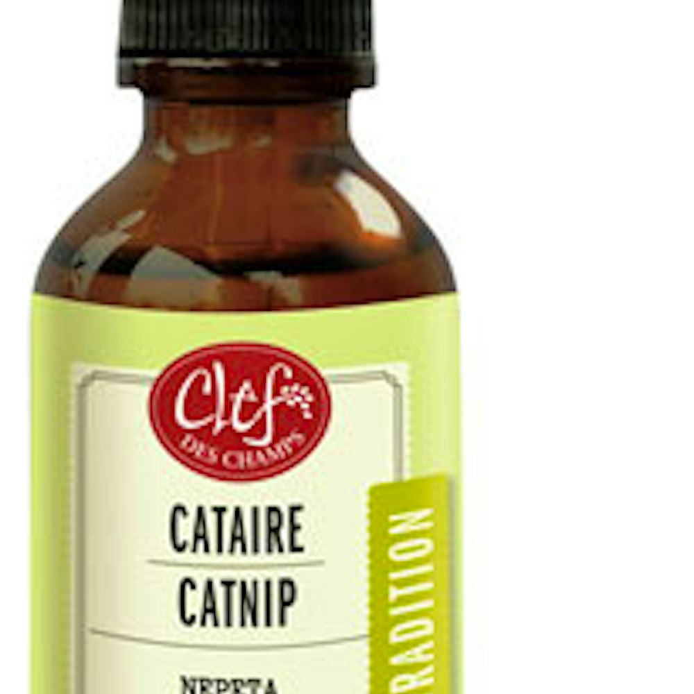 Catnip Tincture (50ml)