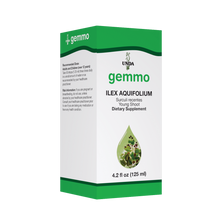 Ilex Aquifolium (4.2 Fl. Oz.)
