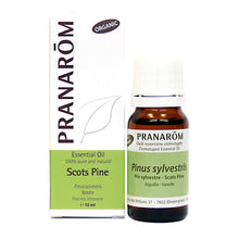 Scots Pine (10ml)