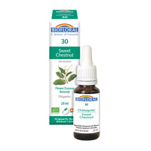 Sweet Chestnut (20ml)