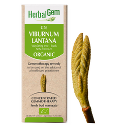 Viburnum Lantana (15ml)