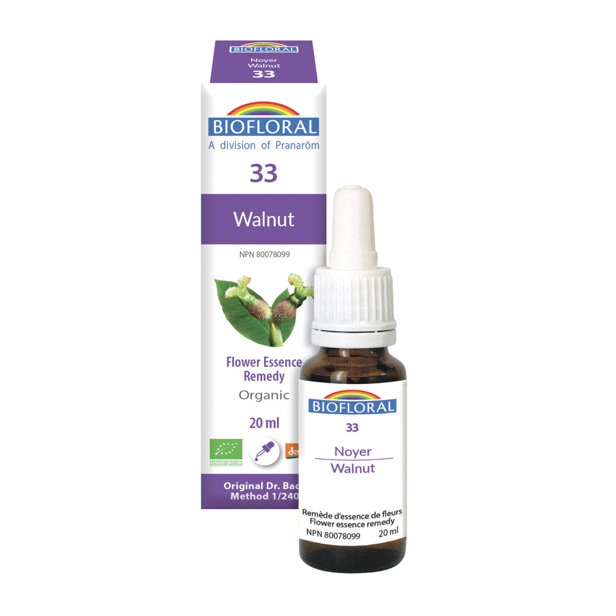 Walnut (20ml)