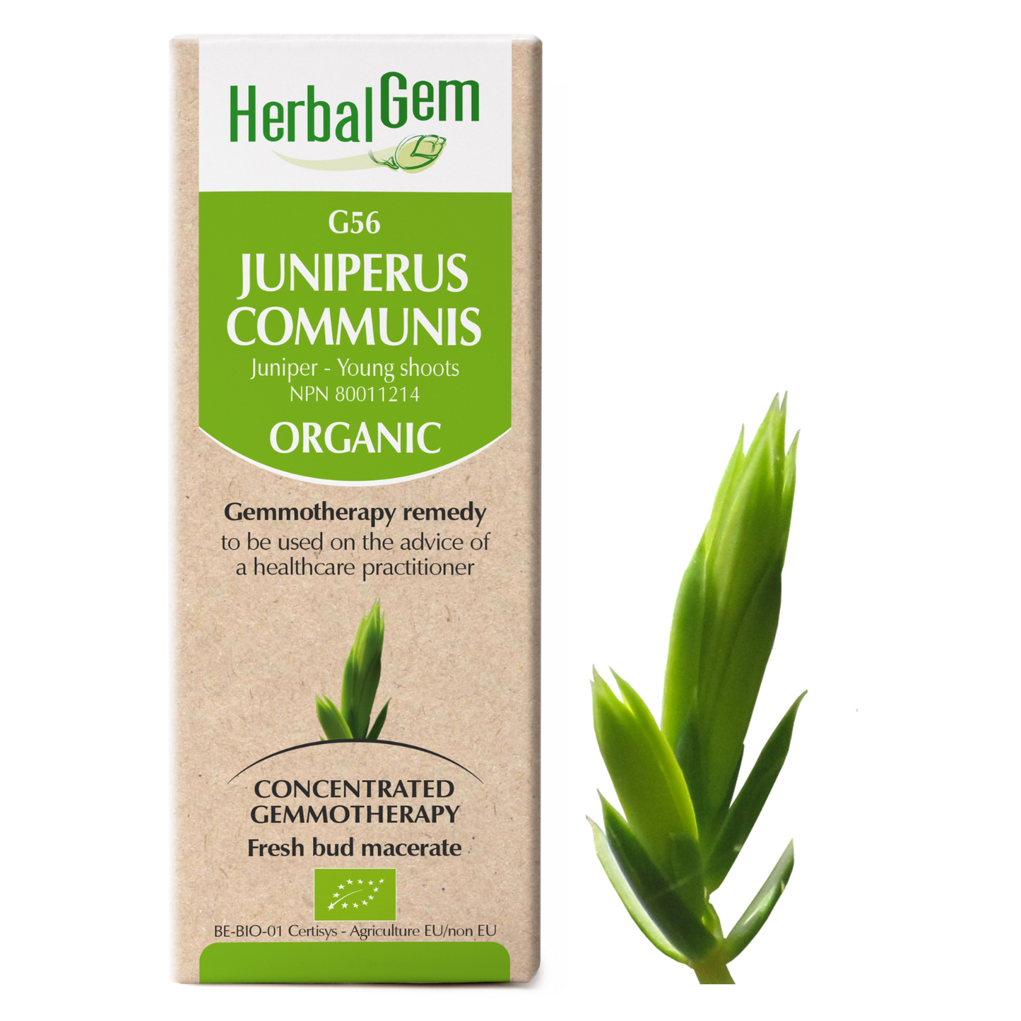 Juniper Berry (15ml)