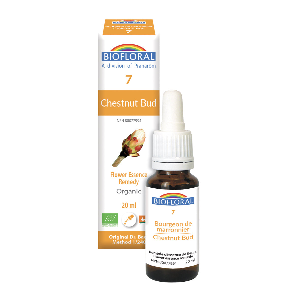 Chestnut cream (20ml)