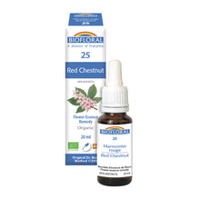 Red Chestnut (20ml)