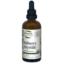 Bilberry (Leaf & Berry) (100ml)