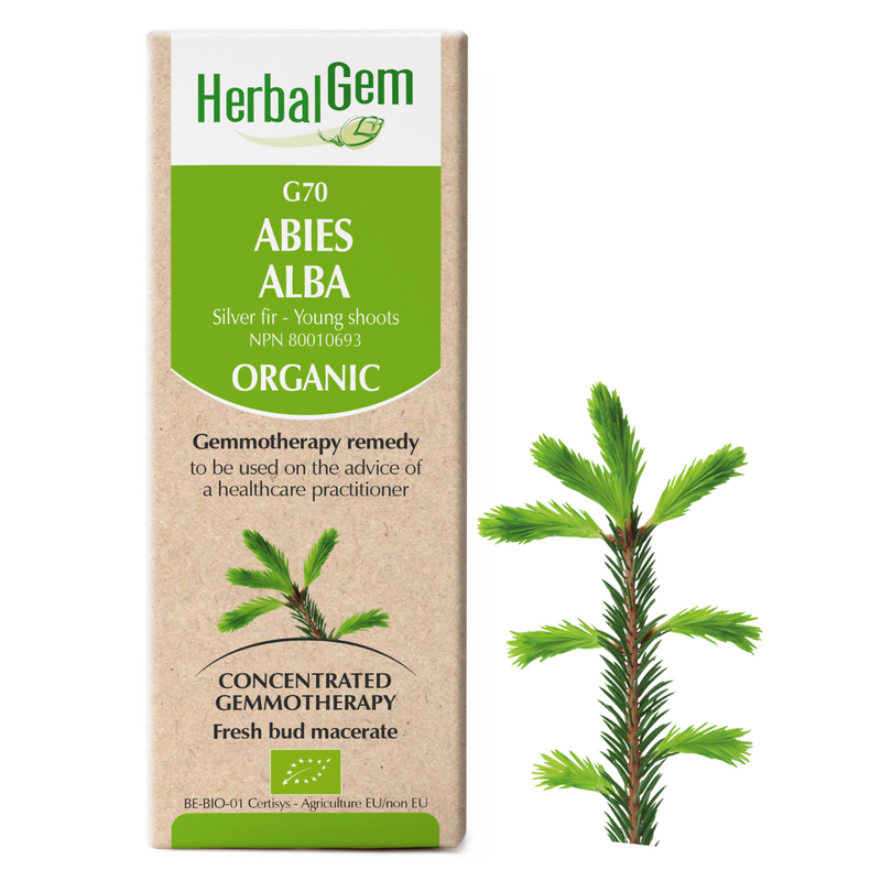 Abies Alba (15ml)