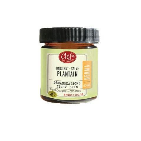 Plantain Ointment (50ml)