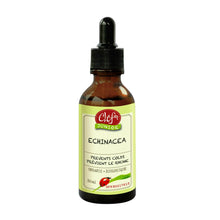 Echinacea Glycerite (30ml)