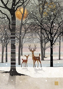 Card Without Text Rennes Under Snow