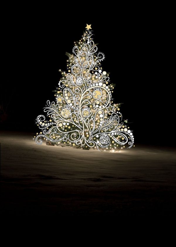 Fir Tree Without Text Card