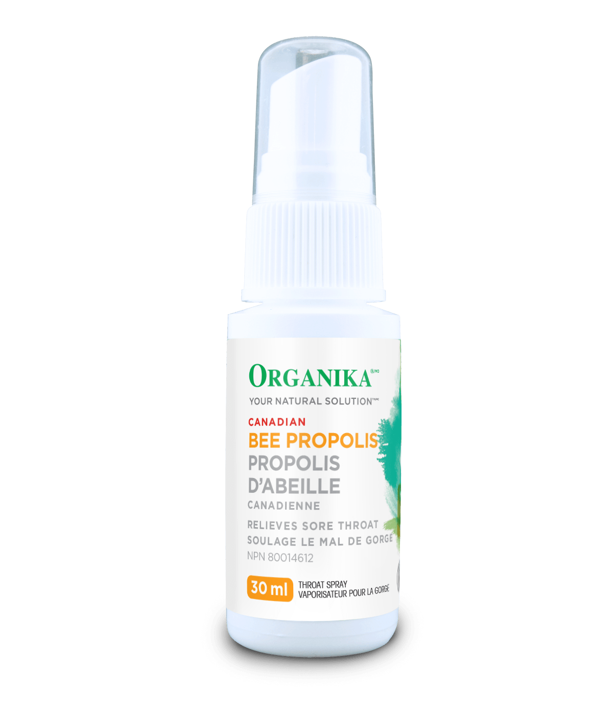 Bee Propolis Spray - Alcohol-Free (30ml)