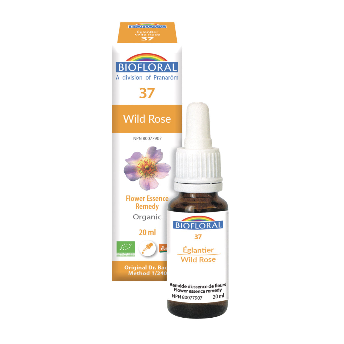 Wild rose (20ml)
