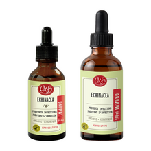 T. Echinacea 100ml (100ml)