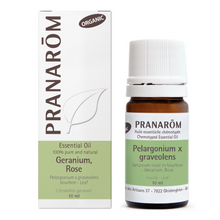 Geranium Rosat Bourbon Cv - Organic Leaf (10ml)