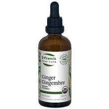 Ginger (Liquid Extract 1:1) (100ml)