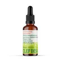 Goldenseal Tincture (50ml)