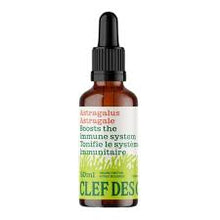 Astragalus Tincture (50ml)