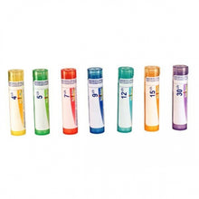 Apis Mellifica 15ch (80 Pellets)