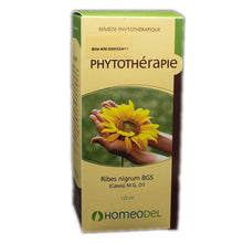 Gemmotherapy Blackcurrant (120ml)