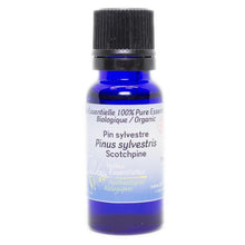 Scots Pine Essential Oil (15ml)