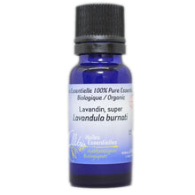 Lavandula Super Essential Oil (15ml)