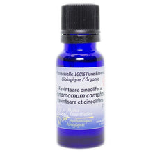 Black Pepper Essential Oil (15ml)