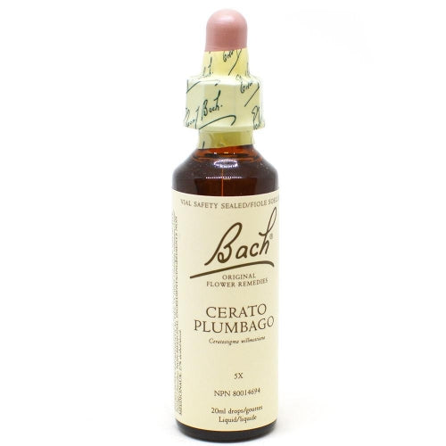 Bach Flower Remedy-leadwort (20ml)