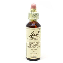 Bach Flower-Cherry Plum (20ml)